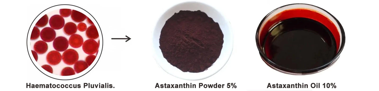 natural Astaxanthin