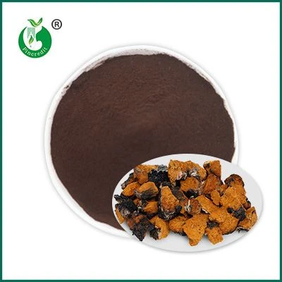 Pols d’extracte de Chaga