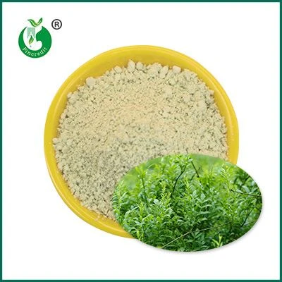 Pols de dihidromicricetina