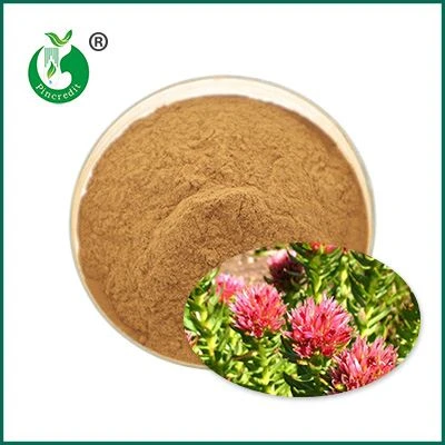 Salidroside Powder