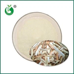 Pols chitosan natural