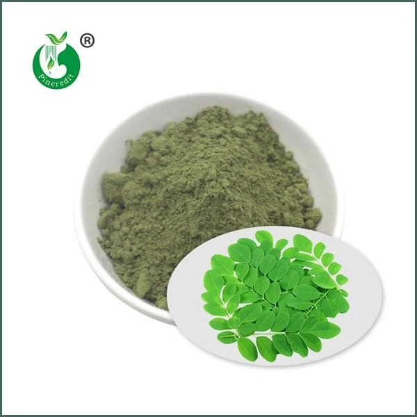 Moringa en pols orgànica