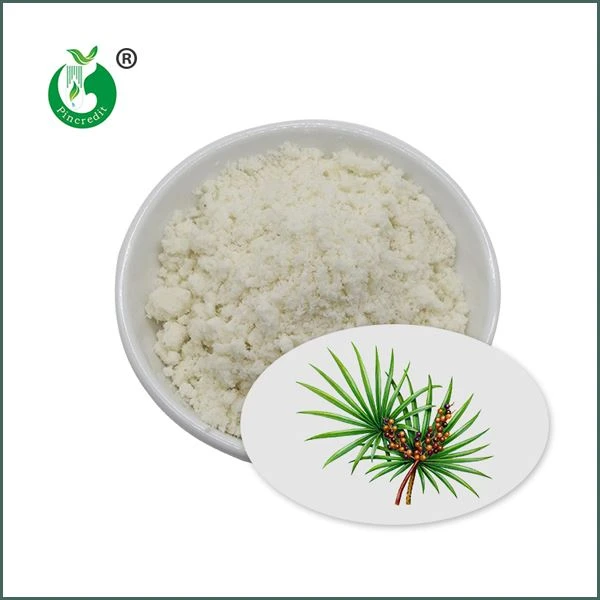 Pols d’extracte de Saw Palmetto