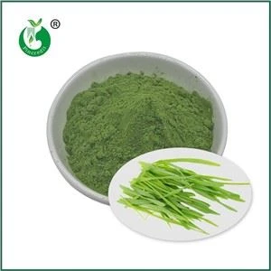 Pols de suc d'herba d'ordi