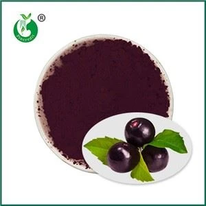 Acai pur en pols