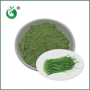 Pols d'herba de blat