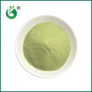 NOVA ARRIBADA: Matcha Latte en pols