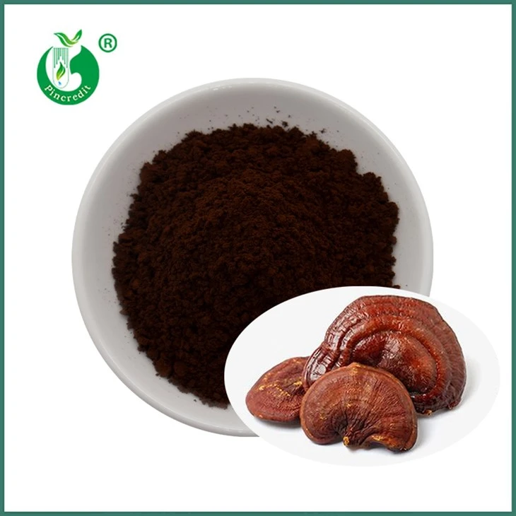Pols d’espores Reishi