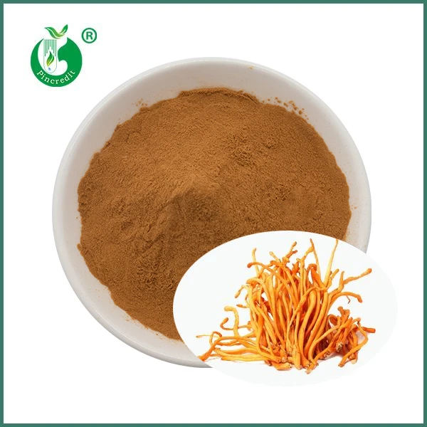 Extracte orgànic de bolets Cordyceps Militaris