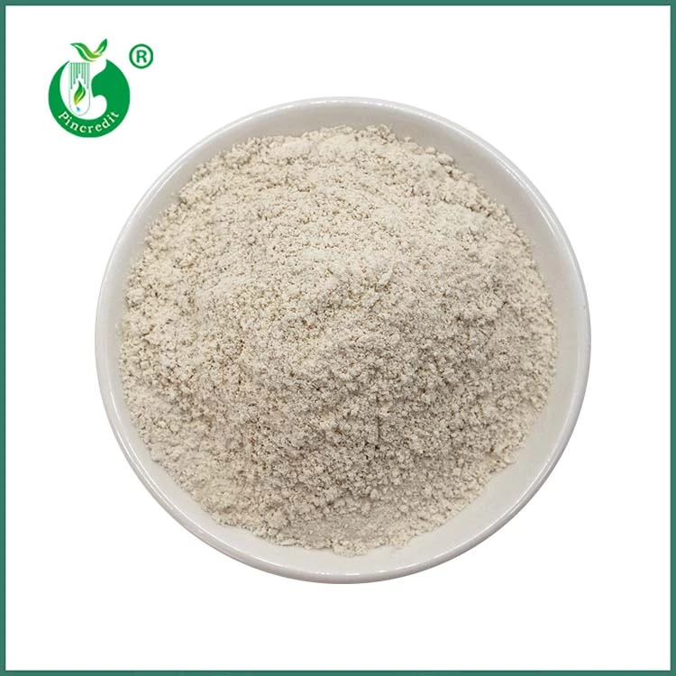 Pols de Resveratrol Trans